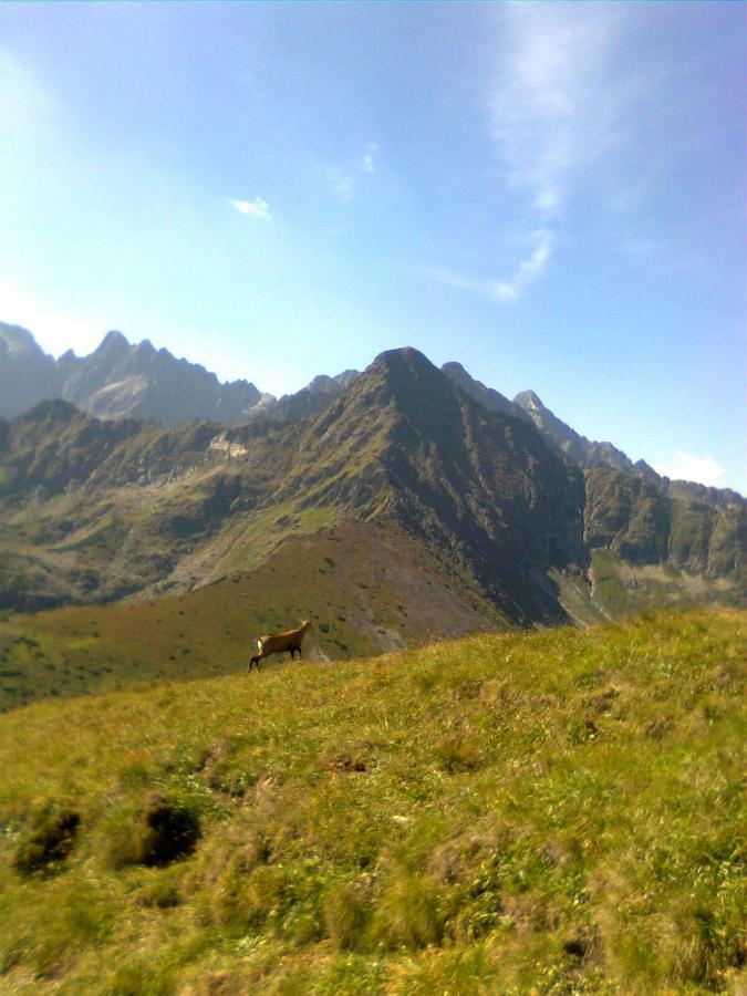 Chalupka U Babicky Villa Zdiar Luaran gambar